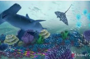 金沙足球正版app下载免费版